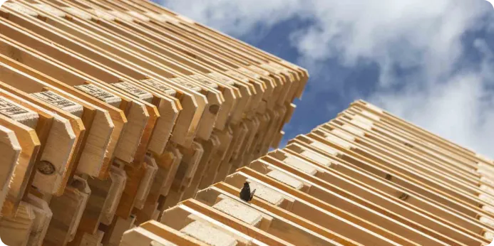 تحولات فناوری و تاریخچه تولید پالت‌های چوبی به مدل‌های مکانیزه