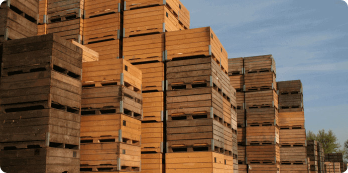 راهنمای خرید پالت چوبی  با توجه به ابعاد مورد نیاز